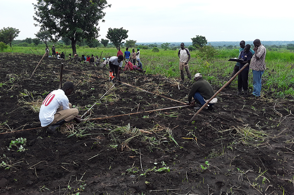 Group members marking a demonstration garden with ULN staff in Amuru District, Northern Uganda